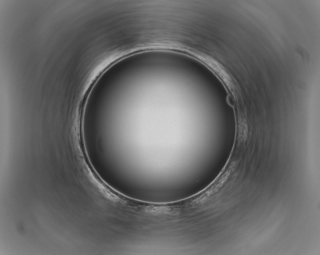 X0000112481006200908171216