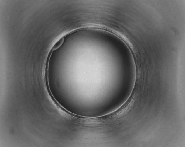 X0000112481007200908171216