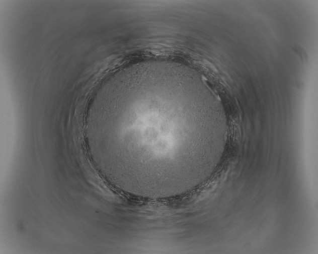 X0000112481009200908171215