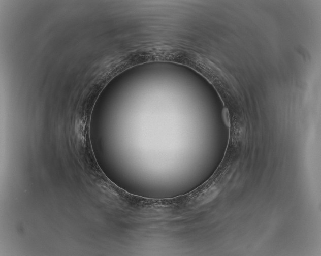 X0000112481010200908171215