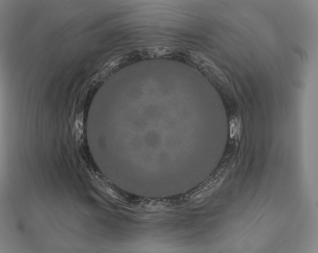 X0000112481011200908171215