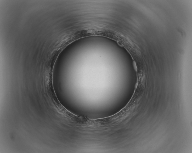 X0000112481012200908171215