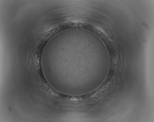 X0000112481013200908171215