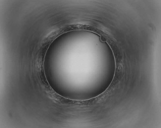 X0000112481014200908171215