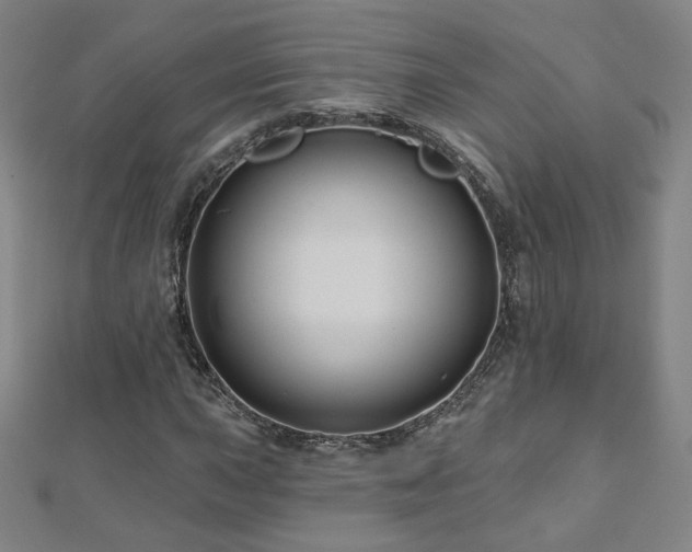 X0000112481015200908171215