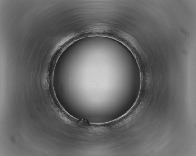 X0000112481018200908171215