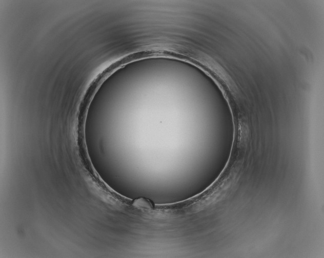 X0000112481020200908171215