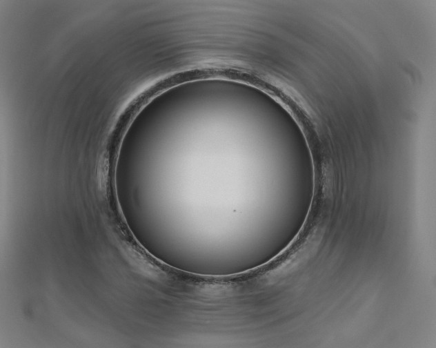 X0000112481021200908171215