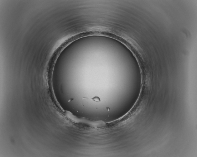 X0000112481022200908171215