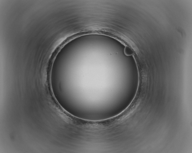 X0000112481023200908171215