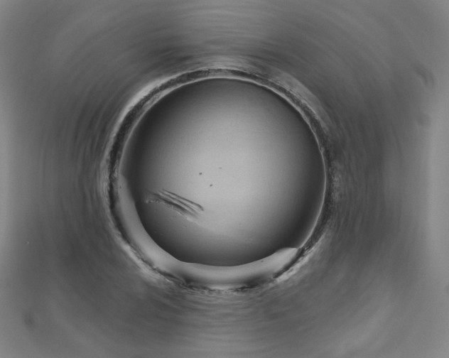 X0000112481024200908171215