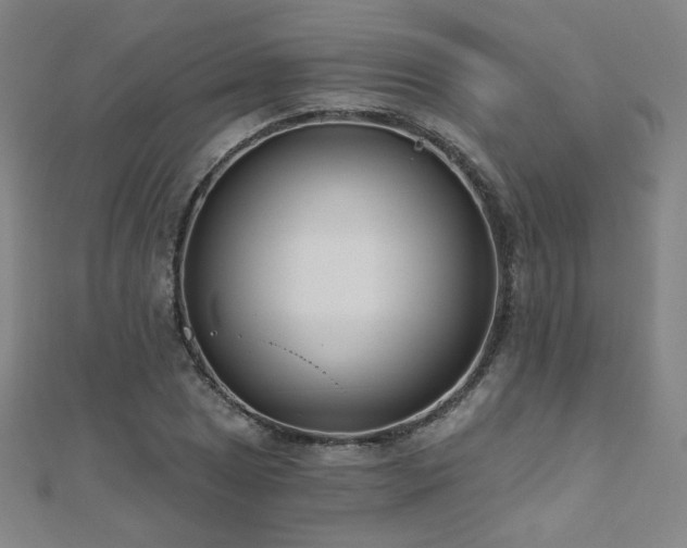 X0000112481025200908171215