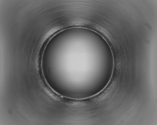 X0000112481026200908171215