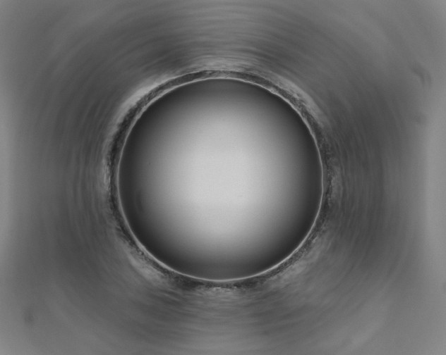 X0000112481027200908171215