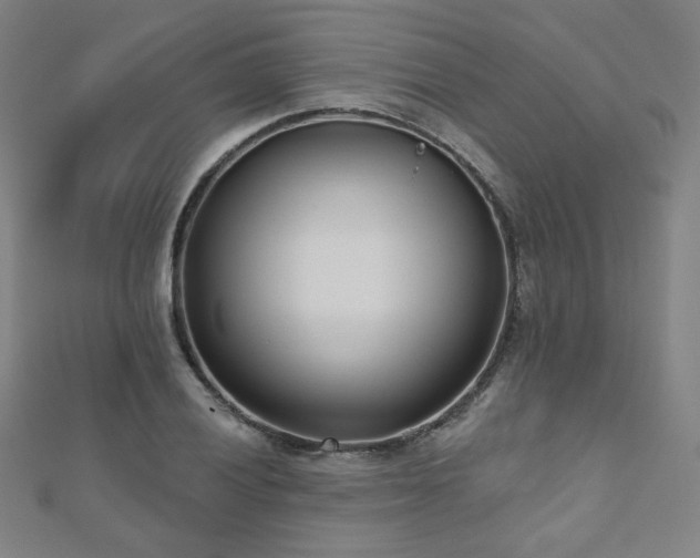 X0000112481028200908171215