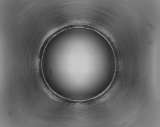 X0000112481029200908171215