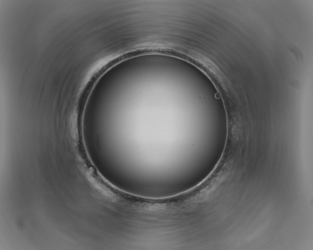 X0000112481030200908171215