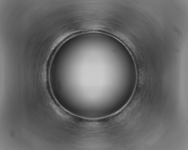 X0000112481031200908171215