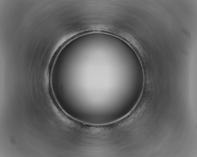 X0000112481032200908171215