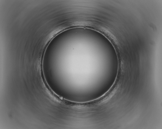 X0000112481033200908171215