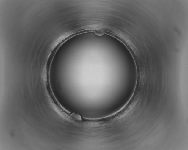 X0000112481034200908171215