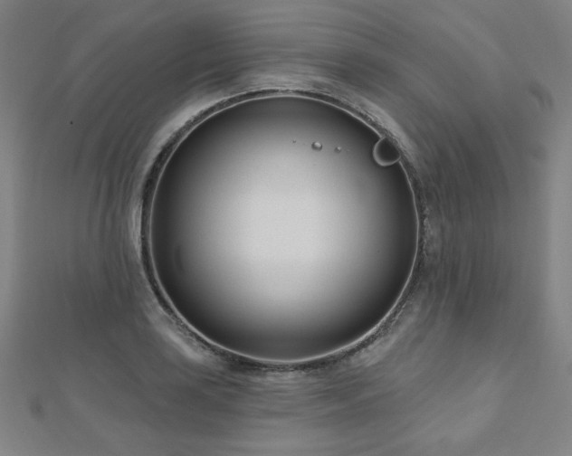X0000112481035200908171215