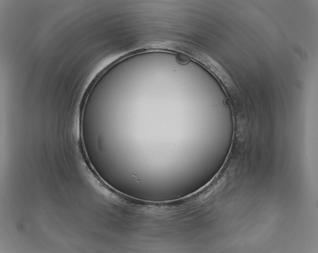 X0000112481036200908171215