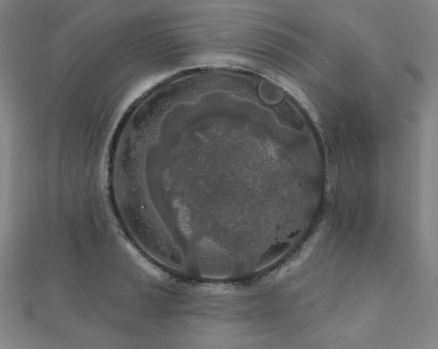 X0000112481037200908171215