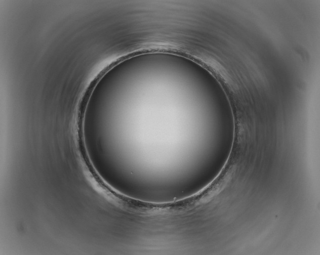 X0000112481038200908171216