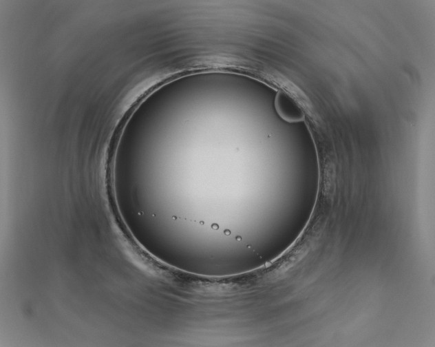 X0000112481039200908171216