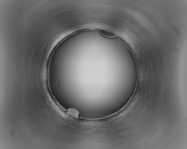 X0000112481040200908171216