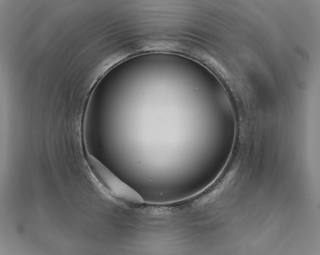 X0000112481041200908171216