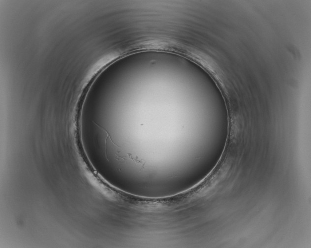 X0000112481042200908171216