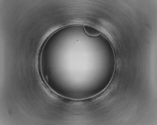 X0000112481043200908171216