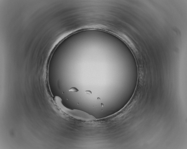 X0000112481044200908171216