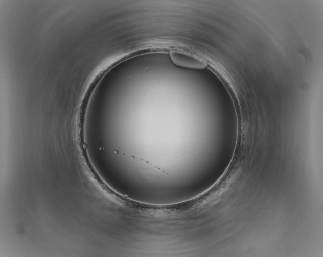 X0000112481045200908171216