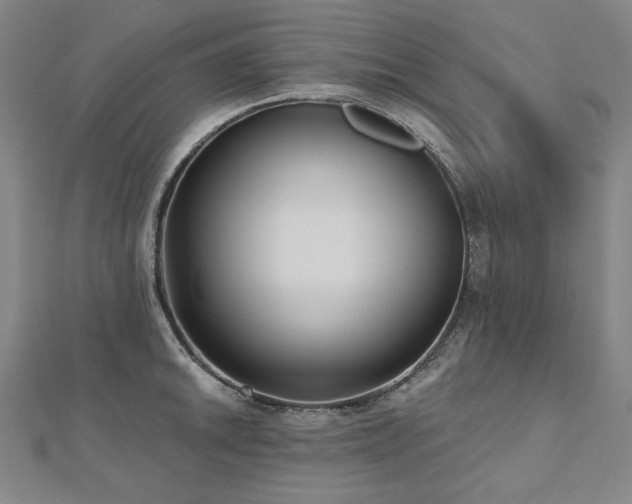 X0000112481046200908171216