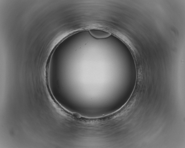 X0000112481047200908171216