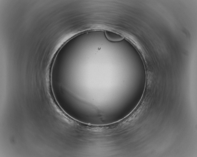 X0000112481048200908171216