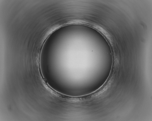X0000112481049200908171216