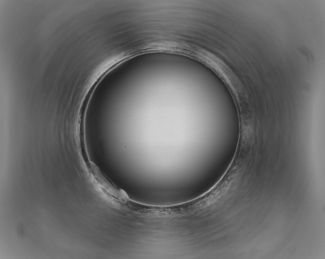 X0000112481050200908171216