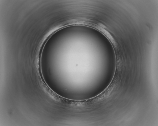 X0000112481051200908171216