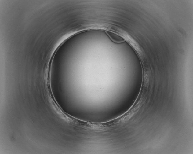 X0000112481052200908171216