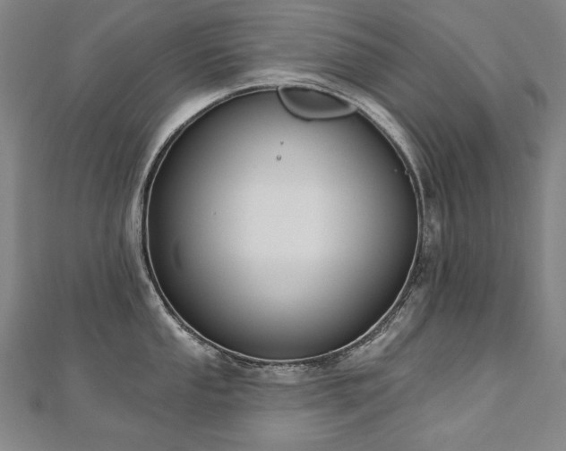 X0000112481053200908171216