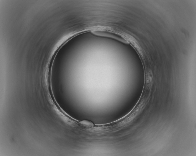 X0000112481054200908171216