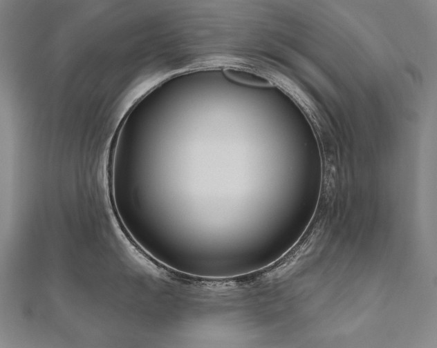 X0000112481055200908171216