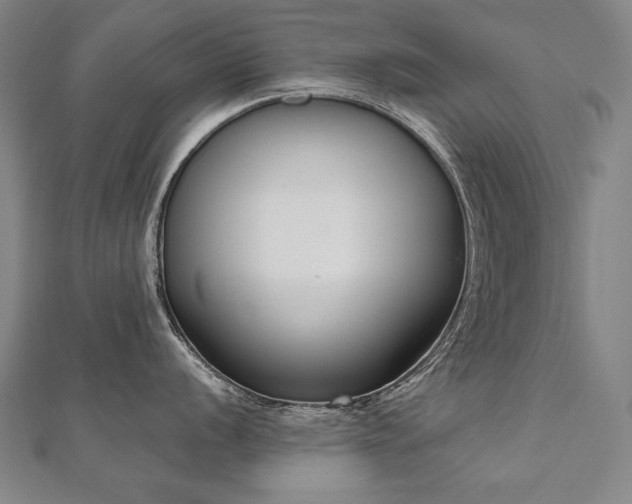 X0000112481056200908171216