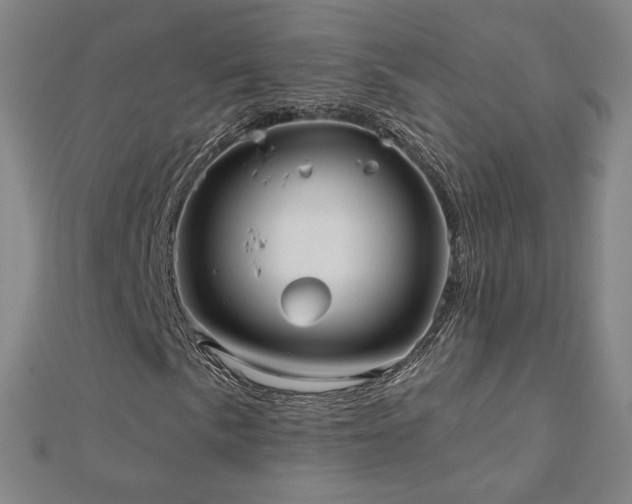 X0000112481057200908171215