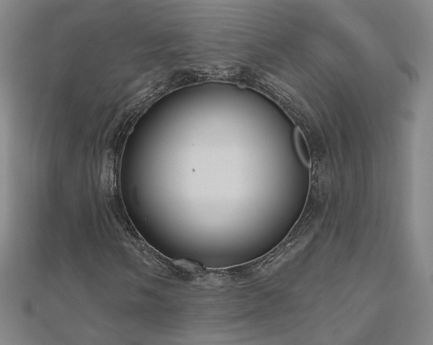 X0000112481058200908171215