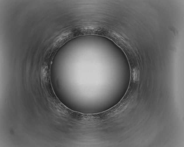 X0000112481059200908171215